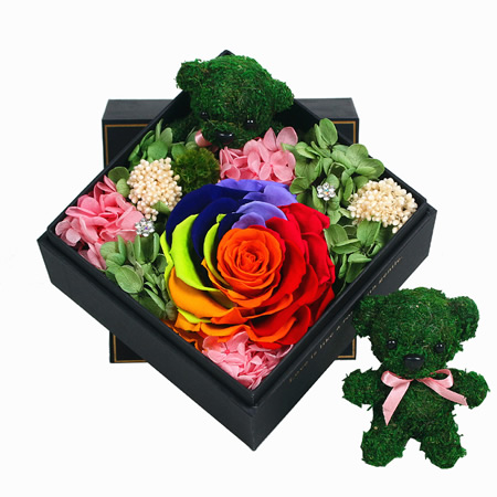 Preservation of flowers Rainbow rose B style