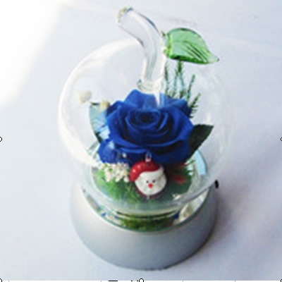 Preserve flowers Christmas doll apple