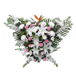 Sorrowful Flower Basket-turning into Butterflies